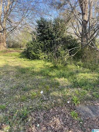 0.14 Acres of Residential Land for Sale in Roanoke, Alabama