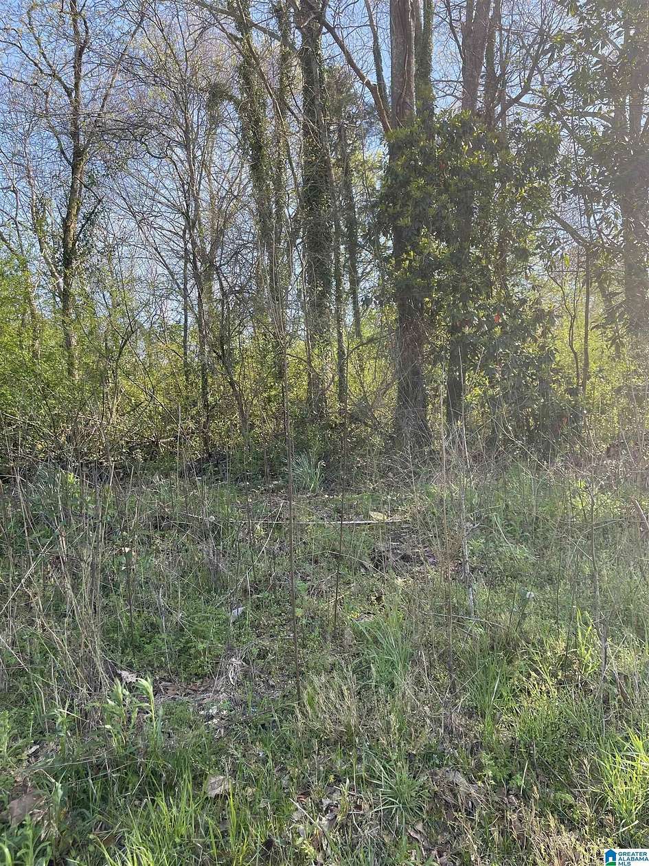 0.38 Acres of Residential Land for Sale in Roanoke, Alabama