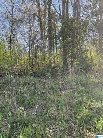 0.38 Acres of Residential Land for Sale in Roanoke, Alabama