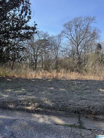 Land for Sale in Roanoke, Alabama