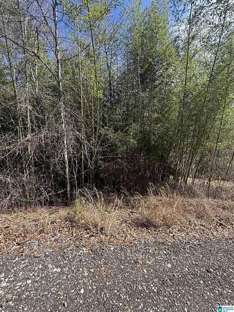 0.3 Acres of Land for Sale in Wedowee, Alabama
