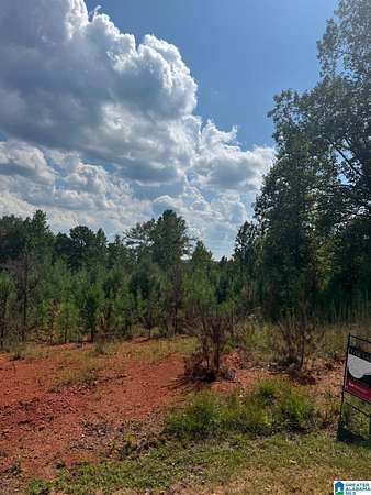 0.68 Acres of Residential Land for Sale in Wedowee, Alabama
