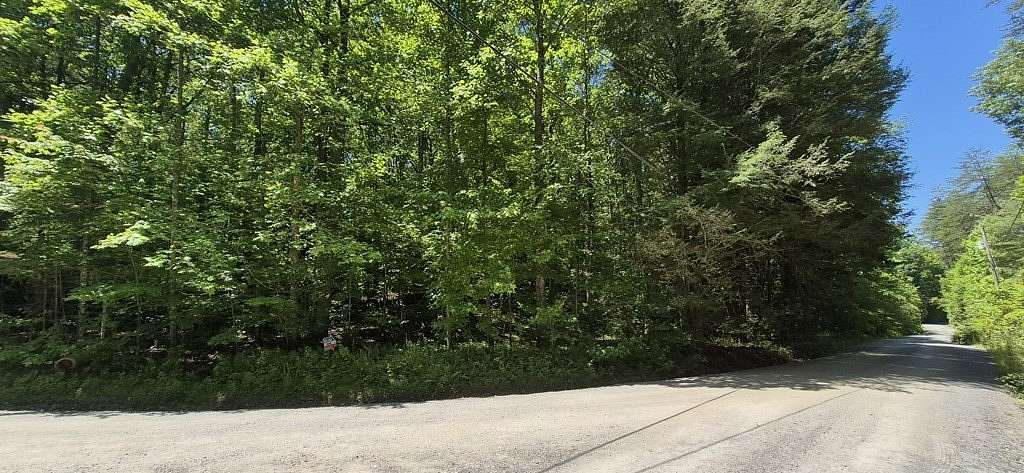 8.78 Acres of Land for Sale in Ellijay, Georgia