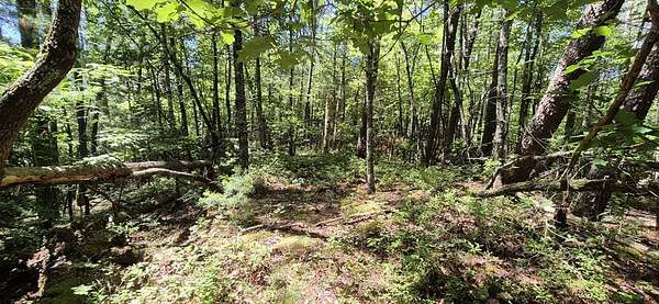 8.78 Acres of Land for Sale in Ellijay, Georgia