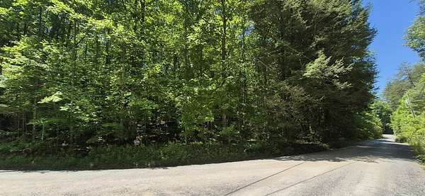 8.78 Acres of Land for Sale in Ellijay, Georgia