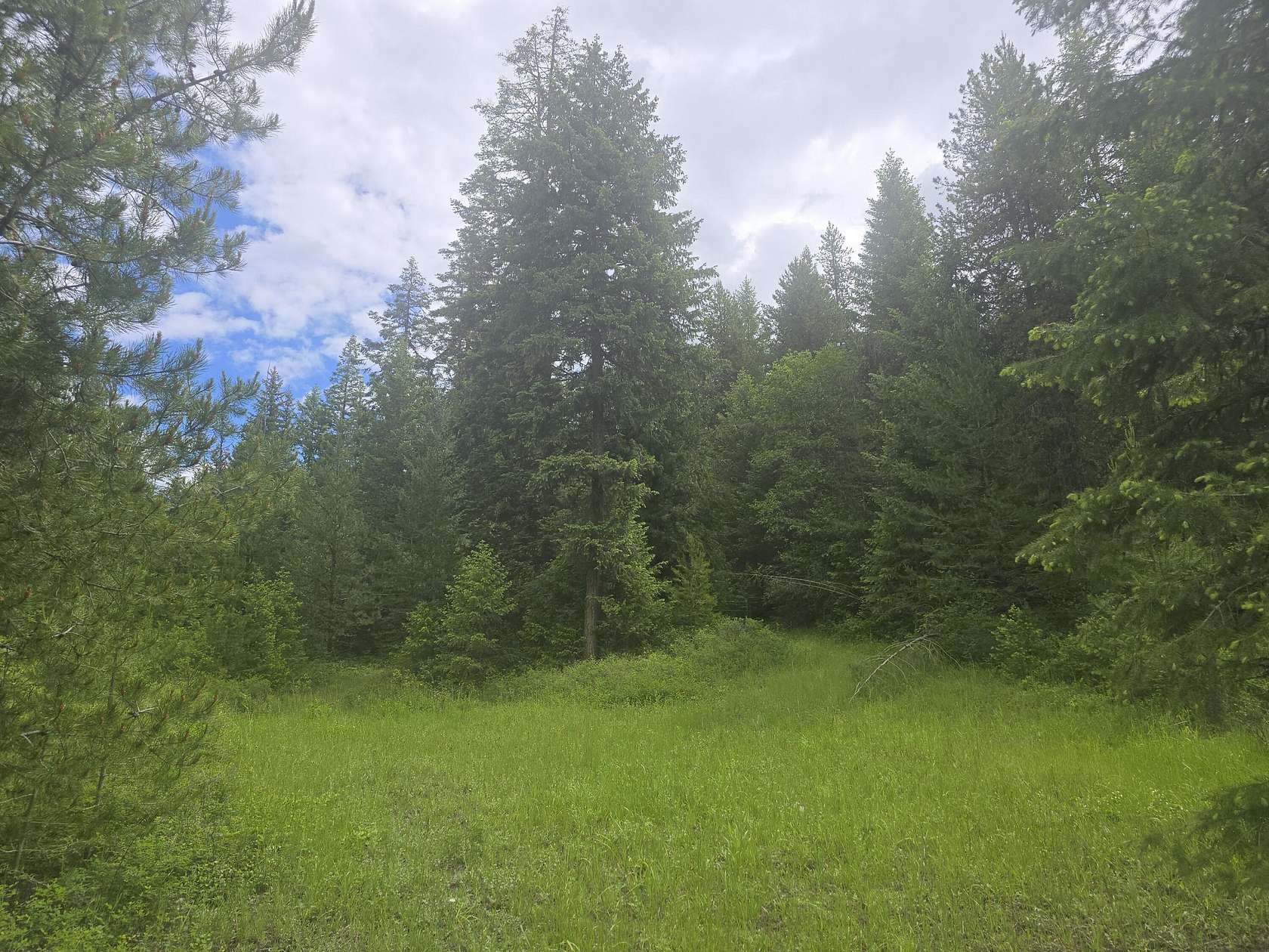94 Acres of Recreational Land for Sale in Colville, Washington