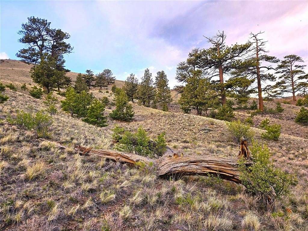 12.8 Acres of Recreational Land for Sale in Hartsel, Colorado