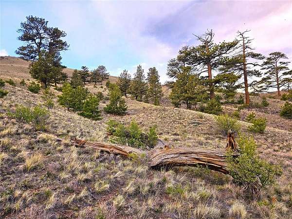 12.8 Acres of Recreational Land for Sale in Hartsel, Colorado