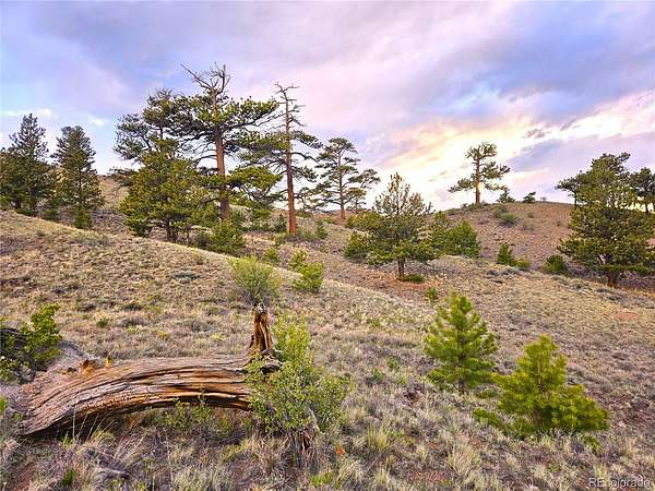 12.8 Acres of Recreational & Residential Land for Sale in Hartsel, Colorado