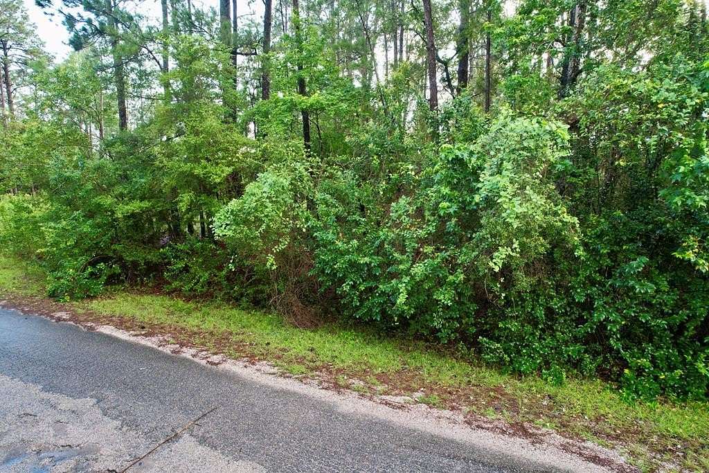 0.32 Acres of Residential Land for Sale in Brookeland, Texas