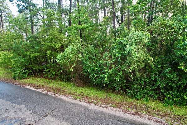 0.32 Acres of Residential Land for Sale in Brookeland, Texas