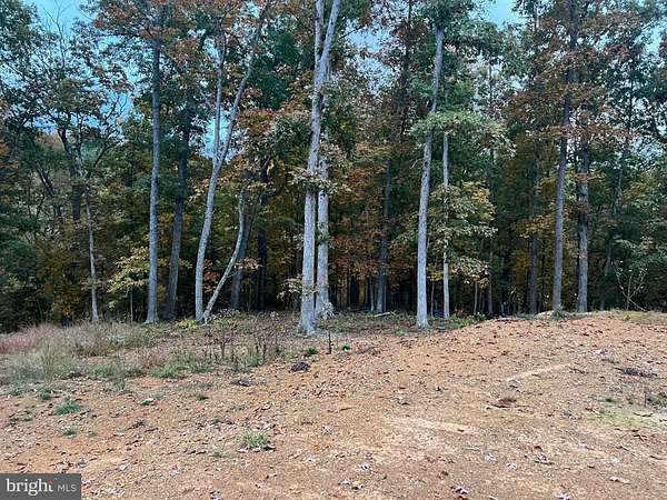 6.69 Acres of Residential Land for Sale in Stephens City, Virginia