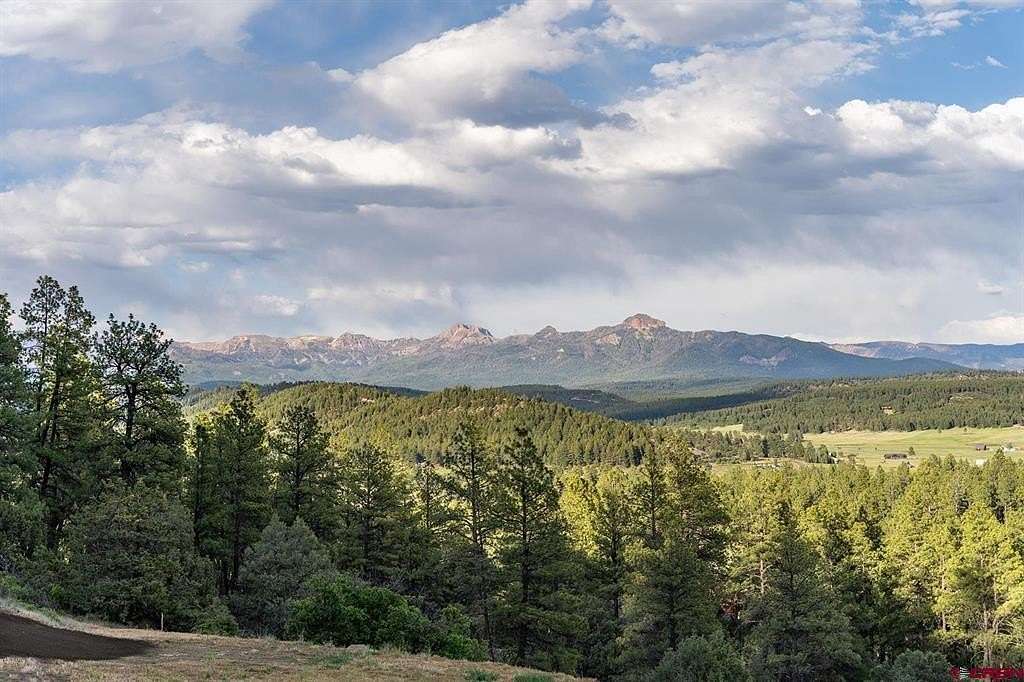 7.5 Acres of Residential Land for Sale in Pagosa Springs, Colorado