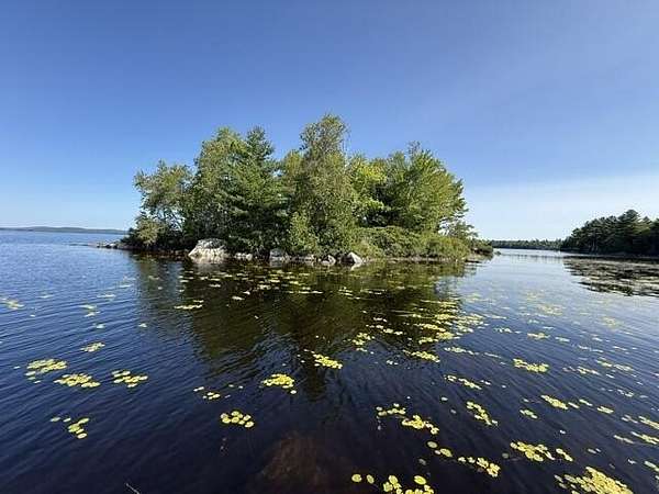 0.5 Acres of Land for Sale in Meddybemps, Maine