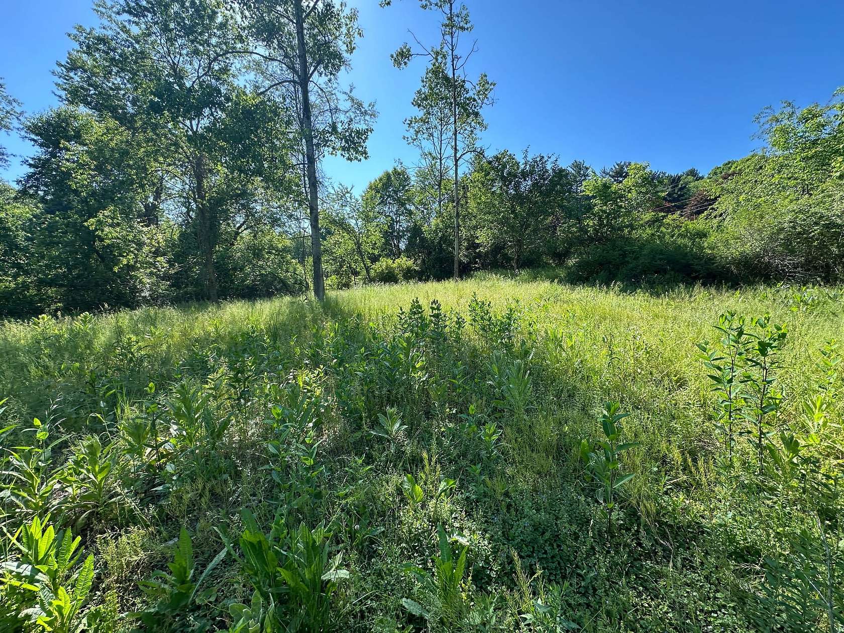 4.55 Acres of Land for Sale in West Leechburg, Pennsylvania