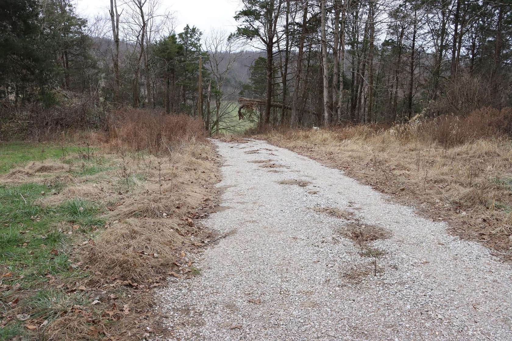 119 Acres of Land for Sale in Horse Cave, Kentucky