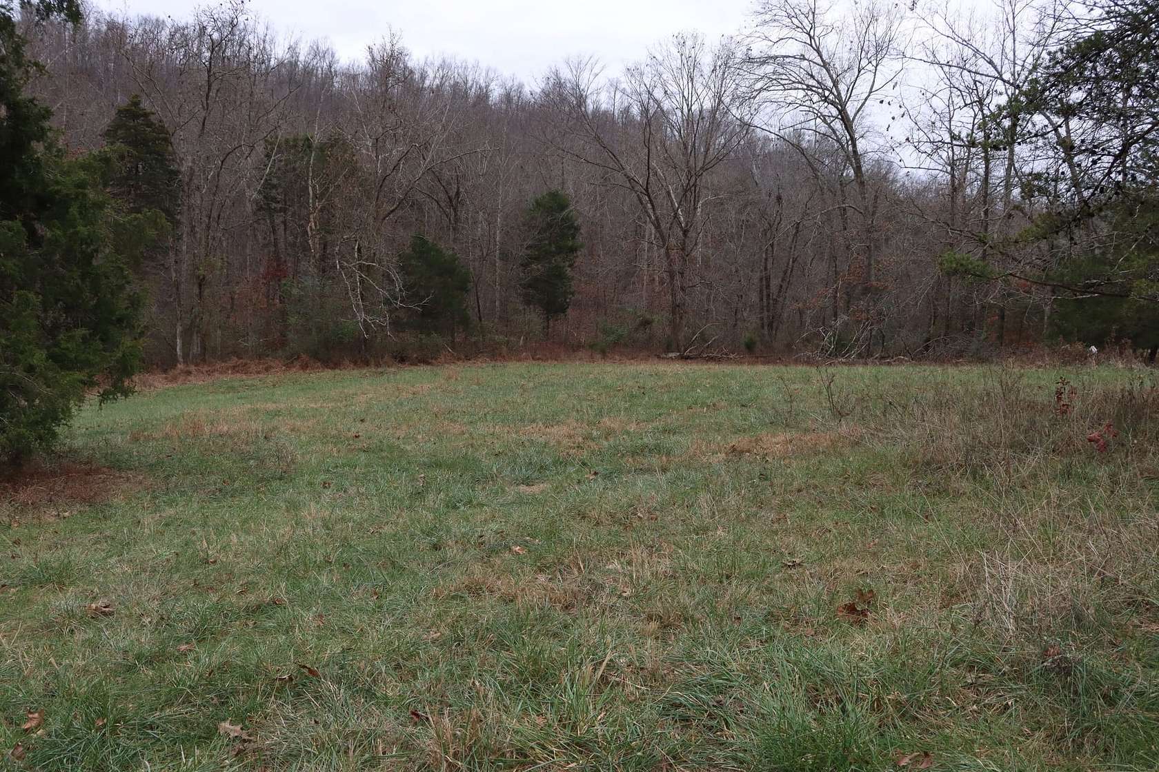 160 Acres of Land for Sale in Horse Cave, Kentucky