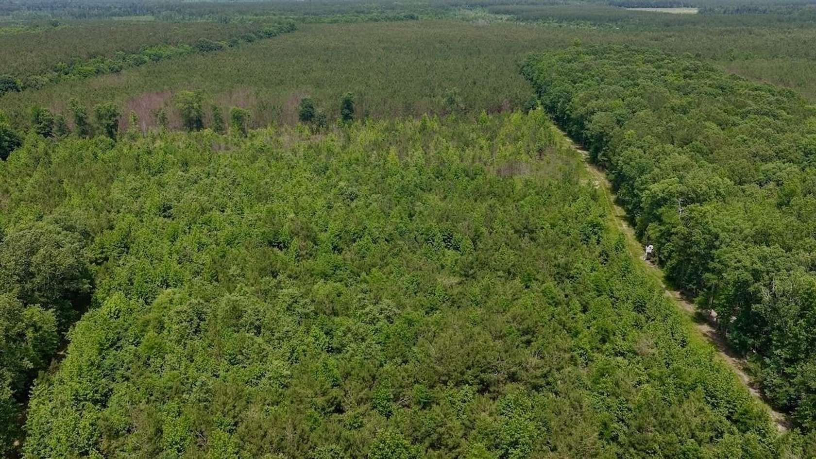 17.6 Acres of Recreational & Residential Land for Sale in Windsor, North Carolina