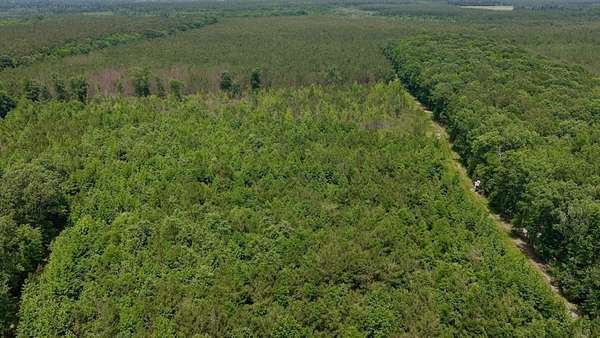 17.6 Acres of Recreational & Residential Land for Sale in Windsor, North Carolina
