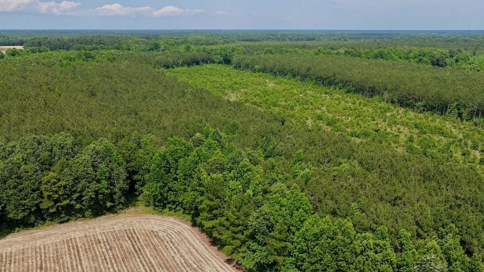 3.8 Acres of Land for Sale in Windsor, North Carolina