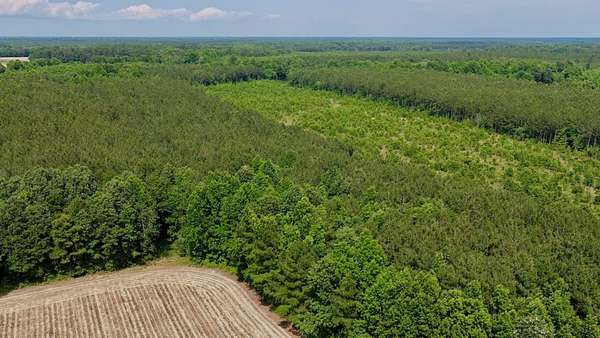 3.8 Acres of Land for Sale in Windsor, North Carolina