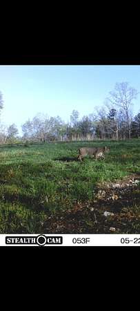 150 Acres of Land for Sale in Ellington, Missouri