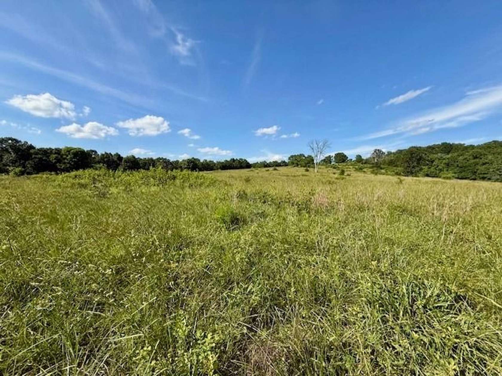148 Acres of Recreational Land for Sale in Mountain Grove, Missouri