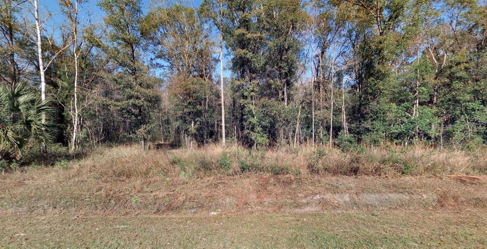 1.14 Acres of Land for Sale in Hastings, Florida