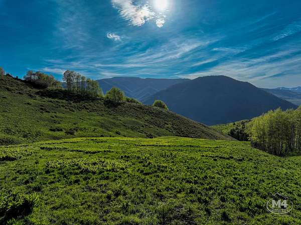 35 Acres of Recreational & Residential Land for Sale in Crested Butte, Colorado