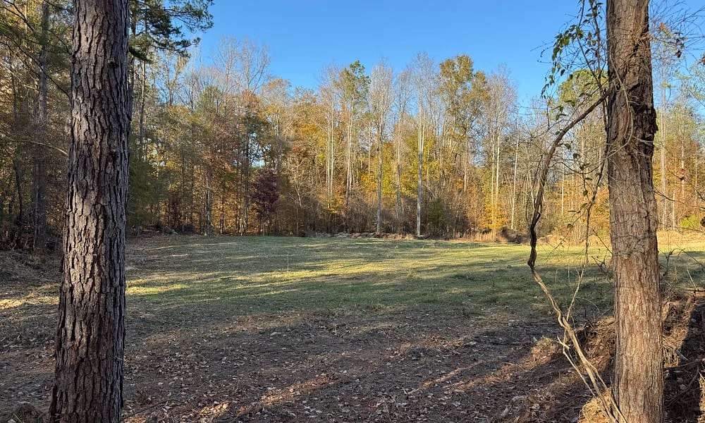 41.9 Acres of Recreational & Residential Land for Sale in Daviston, Alabama