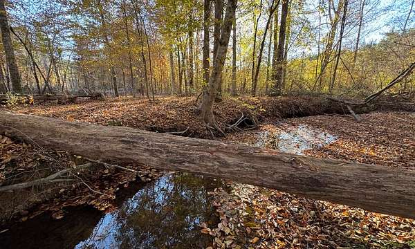 41.9 Acres of Recreational & Residential Land for Sale in Daviston, Alabama