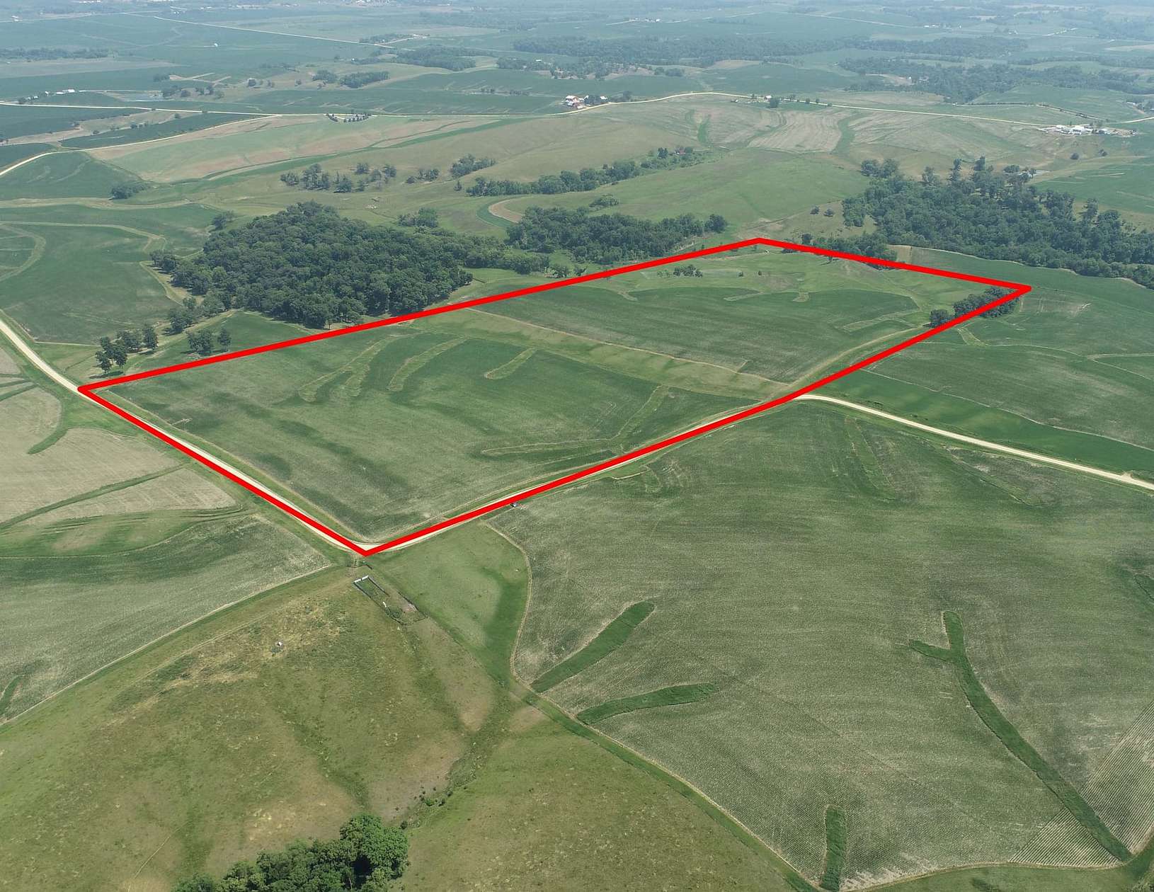 79.5 Acres of Land for Sale in Preston, Iowa