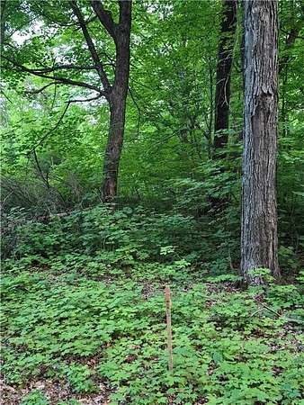 0.23 Acres of Land for Sale in McGregor, Minnesota