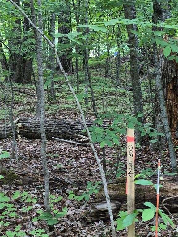 0.23 Acres of Land for Sale in McGregor, Minnesota