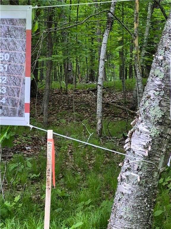 0.23 Acres of Land for Sale in McGregor, Minnesota