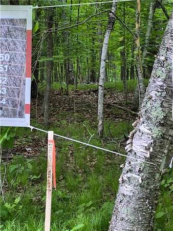 0.23 Acres of Land for Sale in McGregor, Minnesota