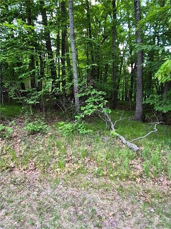 0.23 Acres of Land for Sale in McGregor, Minnesota