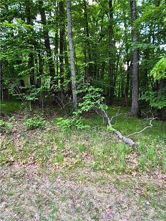 0.23 Acres of Land for Sale in McGregor, Minnesota
