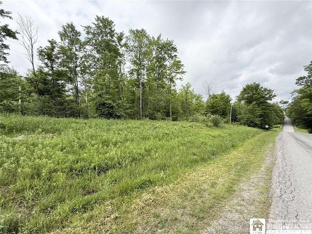 49.8 Acres of Land for Sale in Bemus Point, New York
