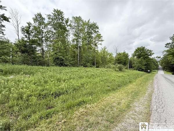 49.8 Acres of Land for Sale in Bemus Point, New York