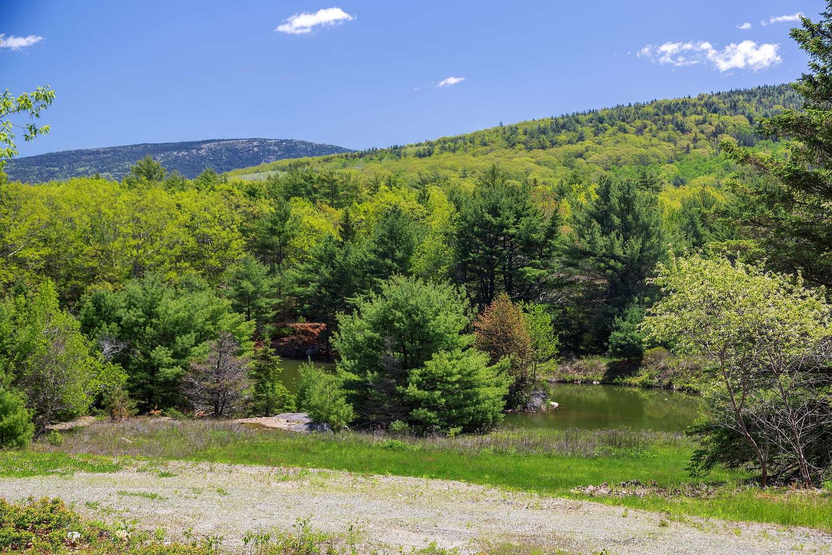 49.2 Acres of Recreational Land for Sale in Mount Desert Town, Maine