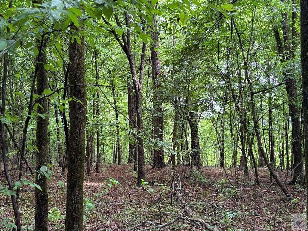 194 Acres of Recreational Land for Sale in Atlanta, Texas