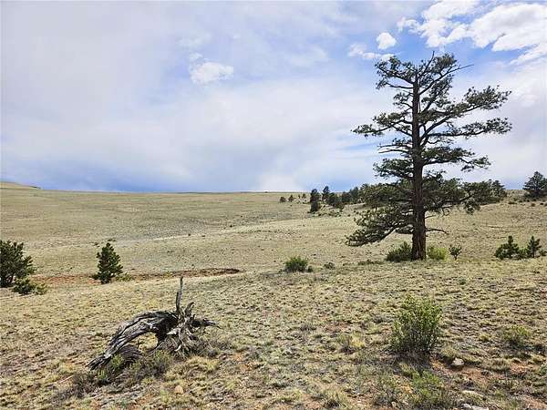 7.83 Acres of Land for Sale in Hartsel, Colorado