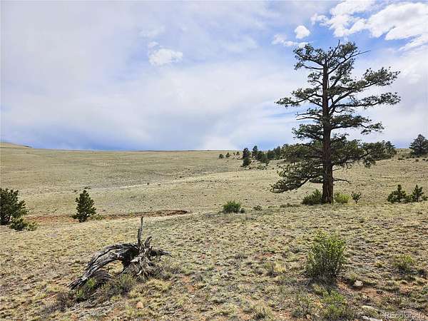 7.83 Acres of Residential Land for Sale in Hartsel, Colorado