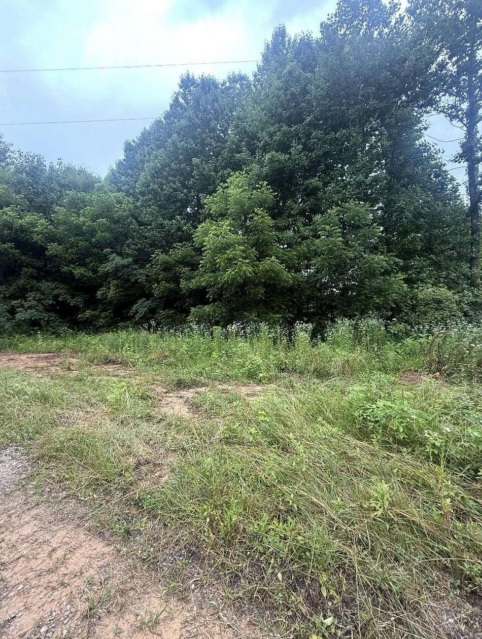 19.7 Acres of Land for Sale in Cosby, Tennessee