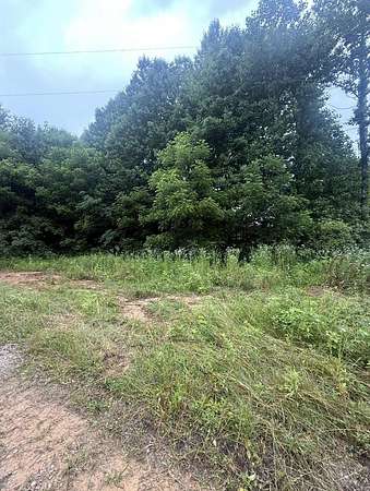 19.7 Acres of Land for Sale in Cosby, Tennessee