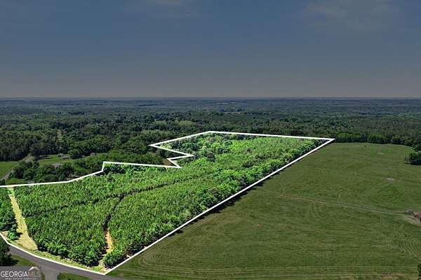 73.4 Acres of Recreational & Residential Land for Sale in Washington, Georgia
