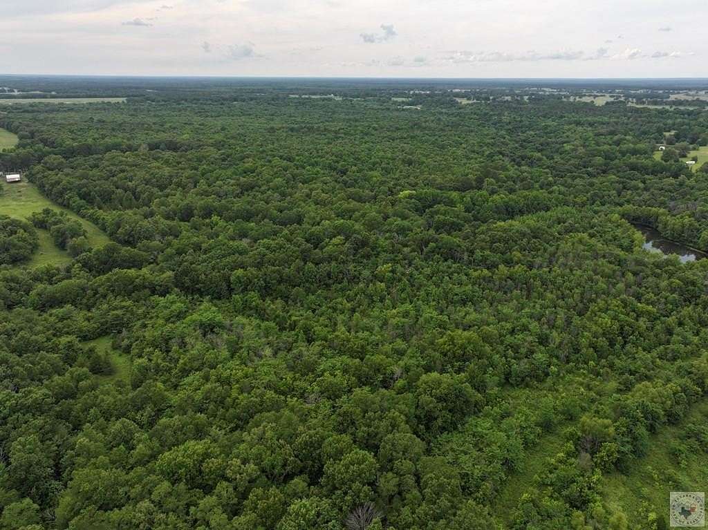 19.3 Acres of Recreational & Residential Land for Sale in Avery, Texas