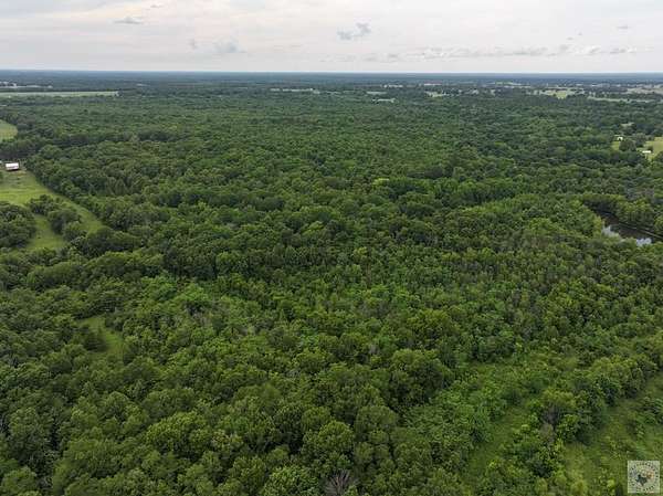 19.3 Acres of Recreational & Residential Land for Sale in Avery, Texas