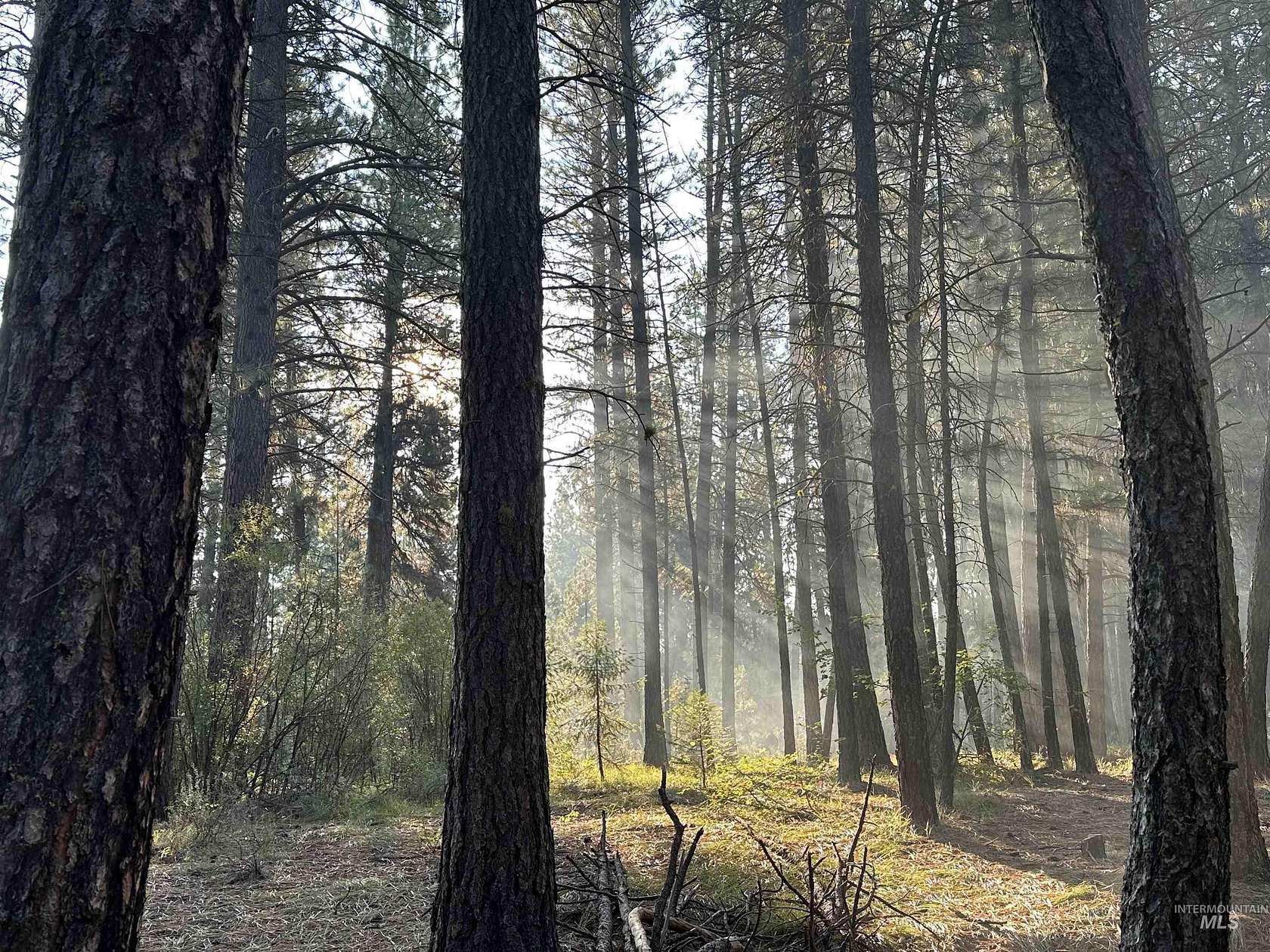 2.85 Acres of Residential Land for Sale in Idaho City, Idaho